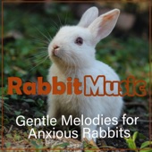 Rabbit Music - Gentle Melodies for Anxious Rabbits artwork