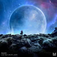 Live Your Life (feat. J.O.Y) - Single - MashBit