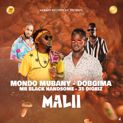 Malii (feat. Dobgima, Mr Black Handsome & 35 Digriz) - Single