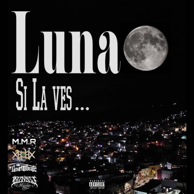 Luna, si la ves. (feat. EDX Demente) [Primera version] - Single
