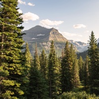 Woodland - Single - Human Is Alive