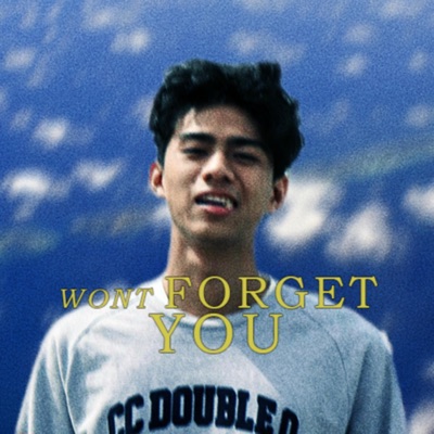 Wont Forget You - Single