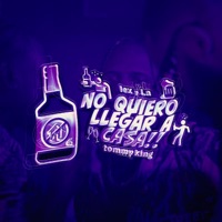 No Quiero Llegar A Casa (feat. Tommy King) - Single - Lex & L.A