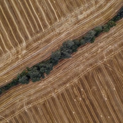 Painted Plains - Single