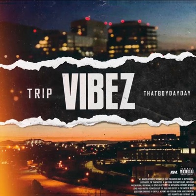 Vibez (FWUT) (feat. Thatboydayday) - Single