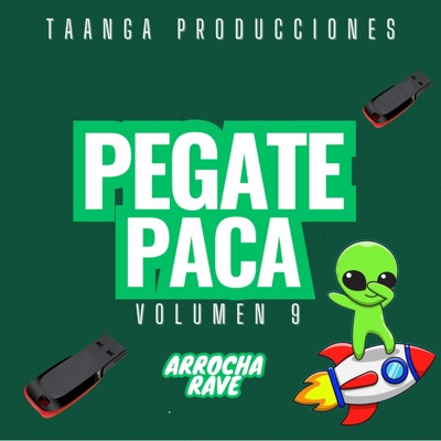 Cachengue 2k24 - PEGATE PACA Taanga Producciones, Vol. 9 (Taanga Producciones Remix)