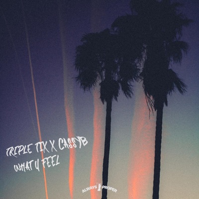 What U Feel (feat. Cassyb) - Single