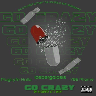 Go Crazy (feat. Pluglyfe Holla & YBE Phame) - Single