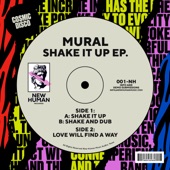 Mural - Shake It Up