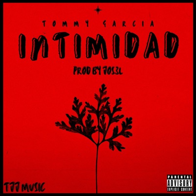 Intimidad - Single