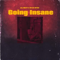 Goin insane (feat. Ryan ryuu) - Single - Lil Matt