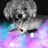 DoggyStyle - Single