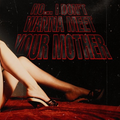 No, I Don't Wanna Meet Your Mother - Single