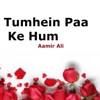 Tumhein Paa Ke Hum - Single