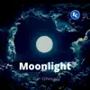 Moonlight Over Ephesus
