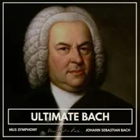Toccata and Fugue in D Minor, BWV 565 — Mus Symphony & Paul Pitman