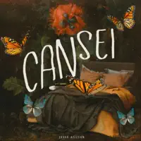 Cansei — Jessé Aguiar