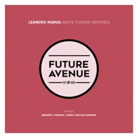 Euphoria Vibes (Mattias Herrera Remix) - Single - Leandro Murua