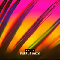 Purple Haze - Single - Notize