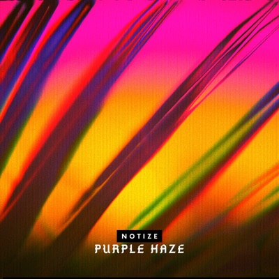 Purple Haze - Single