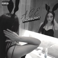 Snowbunny - Single - A.C.E