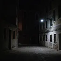 Never Wanted That — GREG PUCIATO