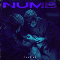 Numb - Single - Ylusive & Carlisio Keys