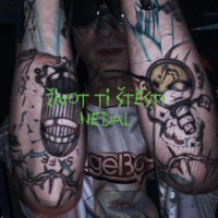 Život ti štěstí nedal - Single - Steve Sniff