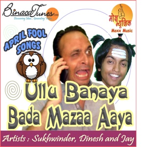 Ullu Banaya Bada Maza Aaya - Single