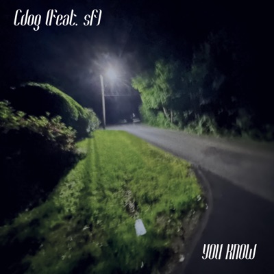 You Know (feat. sf) - Single