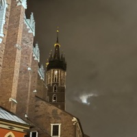 frail - Single - THXMAS