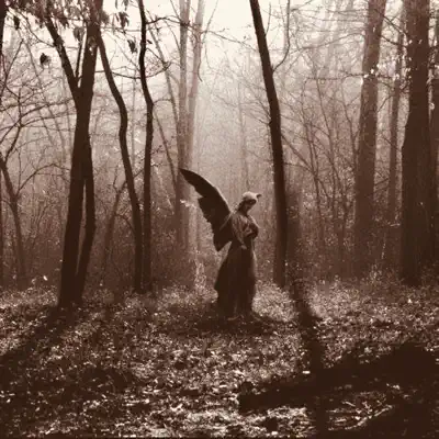 Listen to Witches Are Angels, watch music videos, read bio, see tour dates & more!