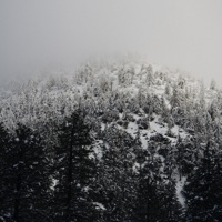 Songs of Christmas - EP - Alabaster Co.