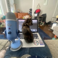 Kiyo - Single - Krvmpus