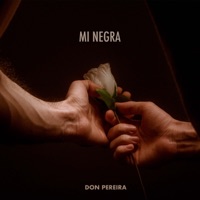 Mi Negra - Single - Don Pereira