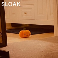 No Shows Until I'm Medicated (Freestyle) - Single - Sloak