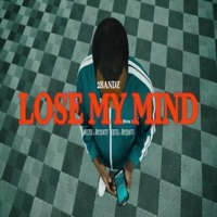 Lose My Mind - Single - 2 Bandz