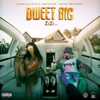 Dweet Big - Single - Zizi 6ixx