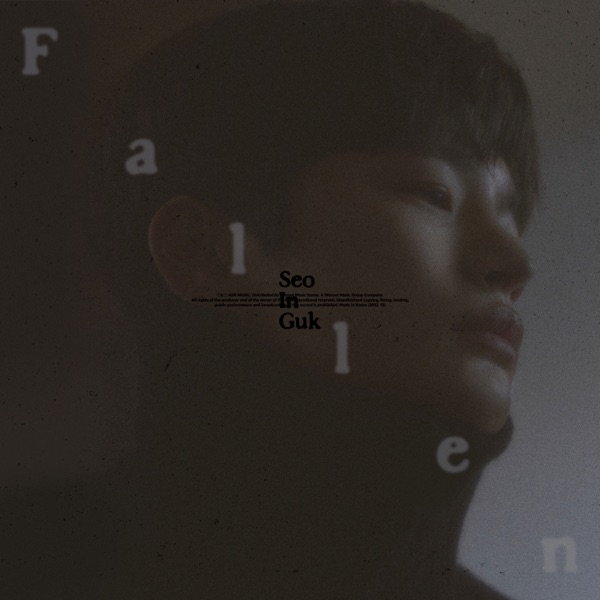 Fallen - Single