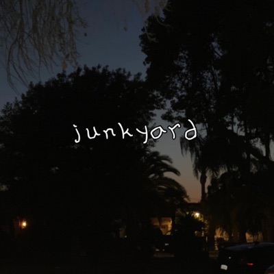 Junkyard (feat. Carsan) - Single