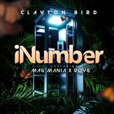 iNumber (feat. Mag'mania & TeddyRoyG) - Single