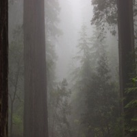 Death, Sex & Arby's - Single - DAMP