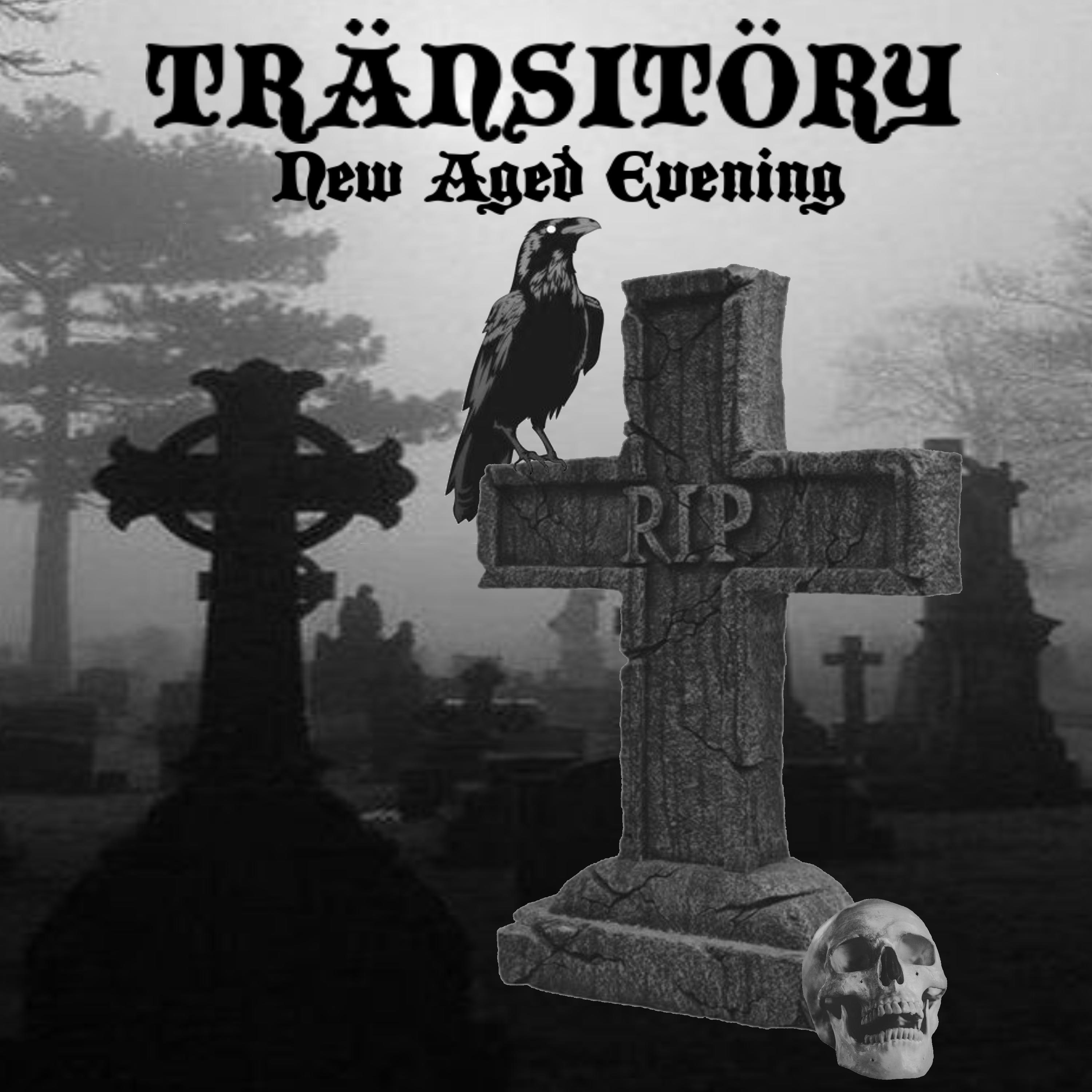 New Aged Evening (Single)