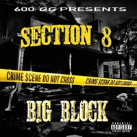 Section 8 - Single - Big Block