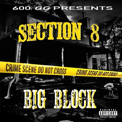 Section 8 - Single