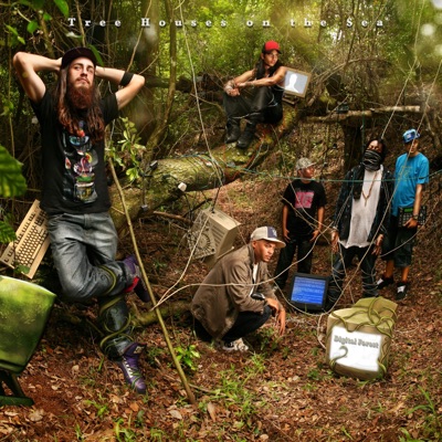 Digital Forest - Single