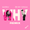 Lizzen & Robin Thicke - Why (Remix)  artwork