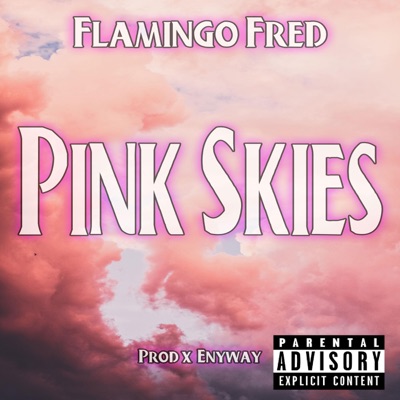 Pink Skies - Single