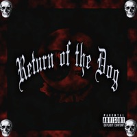RETURN OF THE DOG - Dog Capital