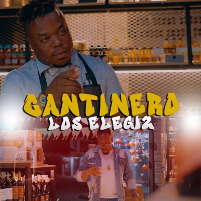 Cantinero (feat. Don Jhon) - Single